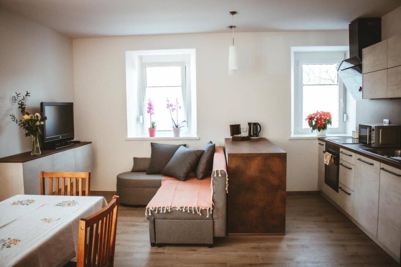 Apartma Moser Podnanos Zewnętrze zdjęcie