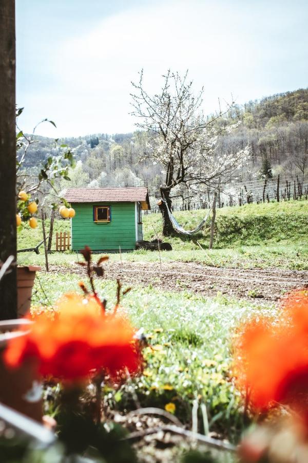 Apartma Moser Podnanos Zewnętrze zdjęcie