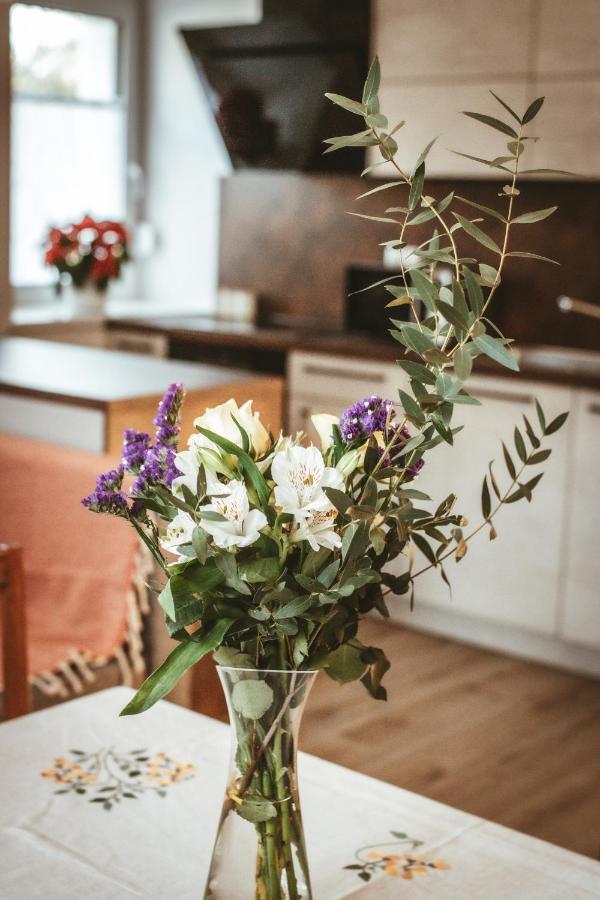 Apartma Moser Podnanos Zewnętrze zdjęcie
