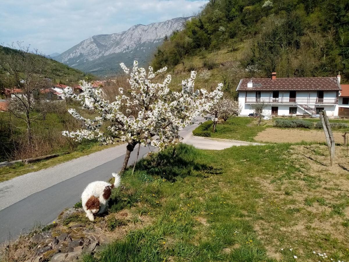 Apartma Moser Podnanos Zewnętrze zdjęcie